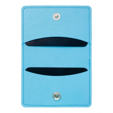 PORTE-CARTES WILDE F147 PASTEL BLEU