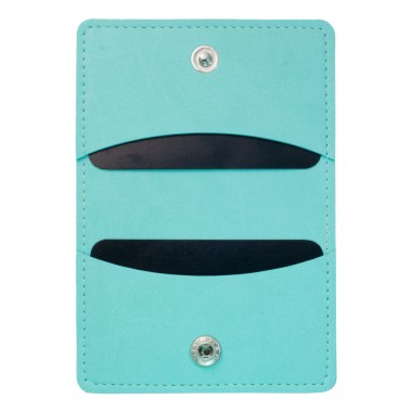 PORTE-CARTES WILDE F144 MENTHE PASTEL